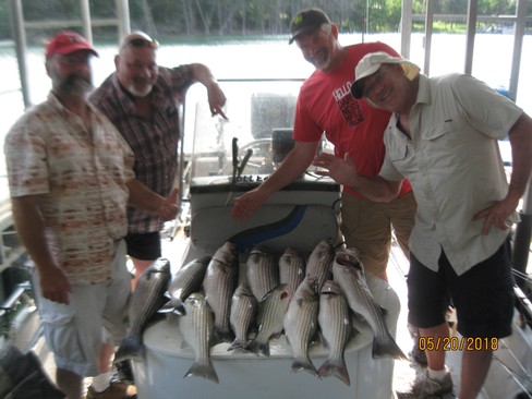 Nice Striped Bass